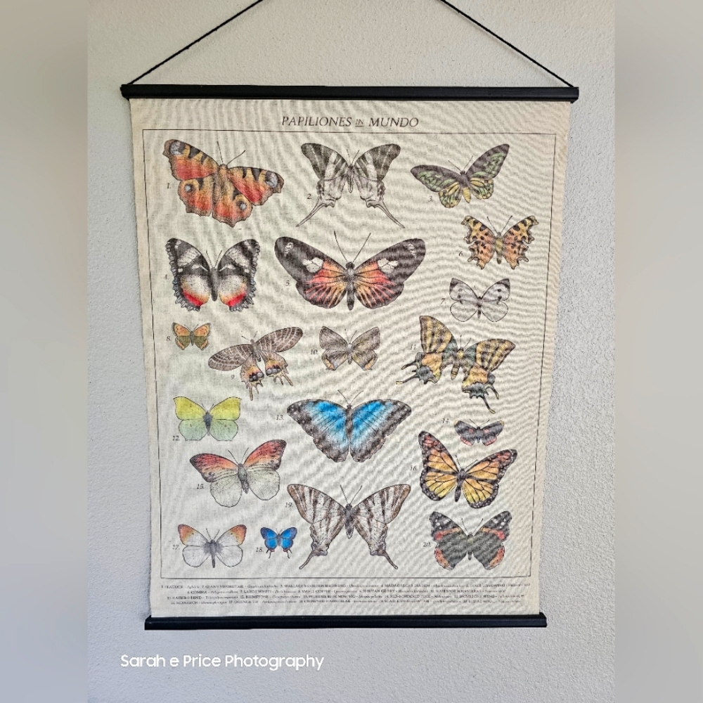 🦋Boho Butterfly Canvas🦋